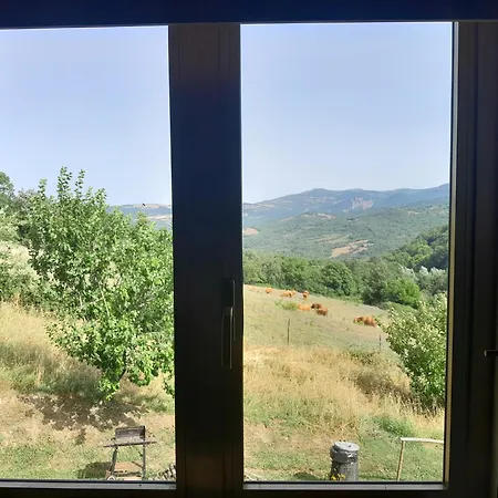 La Casa Delle Stelle Di *